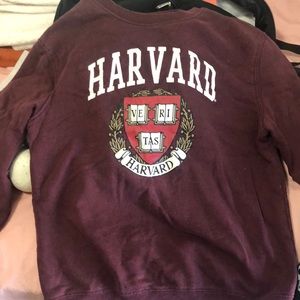 Harvard Hoodie